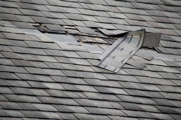 East Bay Roof Repair Services
