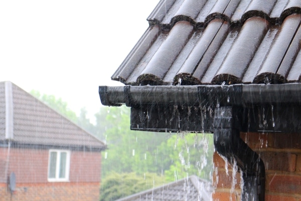 Bay Area Gutter Repair Services